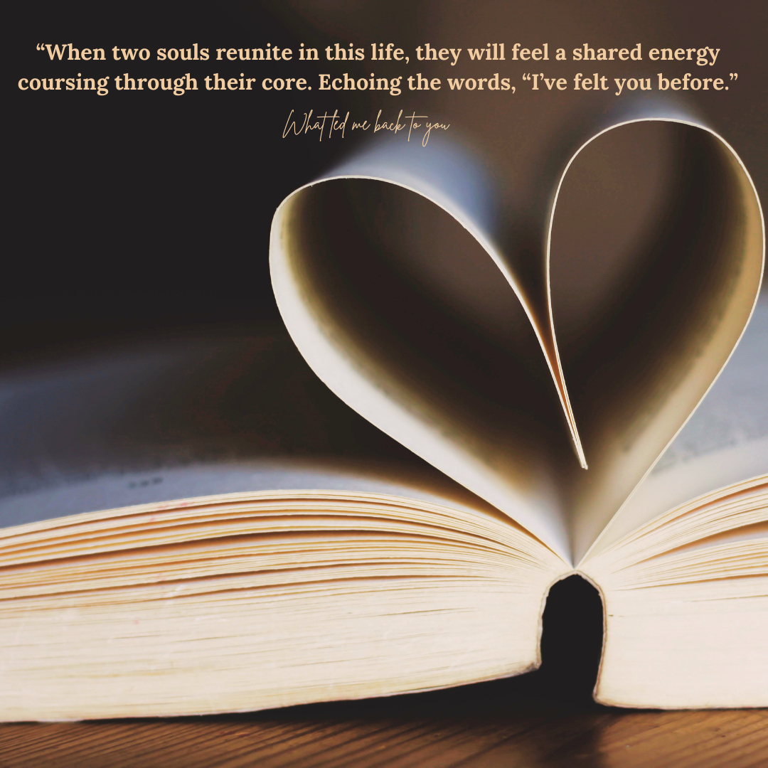 novelry what led me back to you book